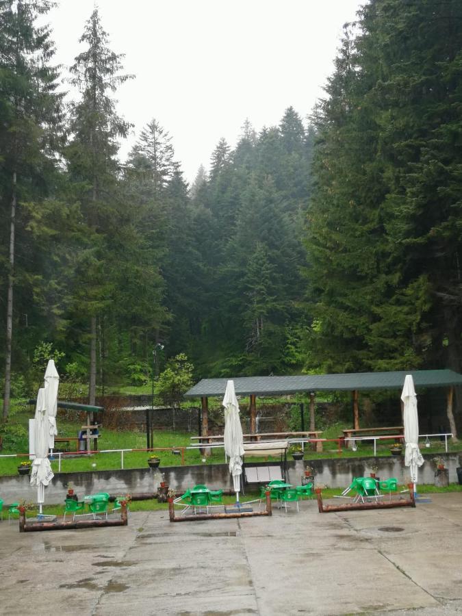 Hostel Cppi Vest Buşteni Exterior foto