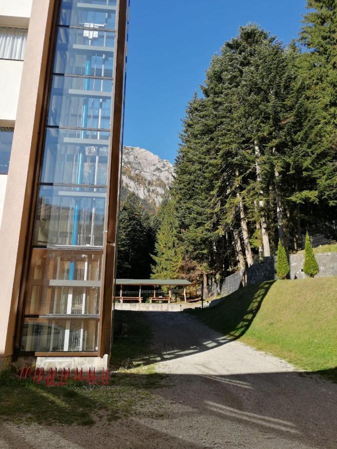 Hostel Cppi Vest Buşteni Exterior foto